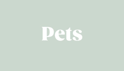Gifts For Pets
