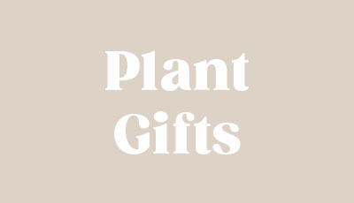 Plant Accessories