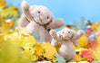 Jellycat Bashful Bunny