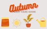 Autumn Houseplant Care Guide