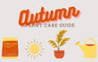 Autumn Houseplant Care Guide