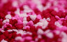 How To Have The Ultimate Galentine's Day