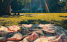 How To Have The Perfect Picnic
