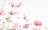 spring flowers