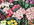 The Best Flower Shops in Merseyside