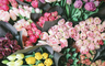 The Best Flower Shops in Merseyside