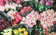 The Best Flower Shops in Merseyside