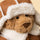 Jellycat Bartholomew Bear 'Alpine' Outfit