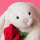 Jellycat Bashful Cream Bunny with Rose
