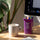 Liverpool Purple Wheelie Bin Desk Tidy