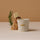 Paddywax Bistro Candle - French Baguette