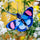 3D Peacock Butterfly