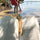 Humdrum Paper Butter Bookmark