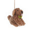 Felt So Good Cassie Cockapoo