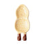 Ceramic Trinket Dish - Peanut