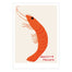 David Shrigley Prawn A5 Postcard Print