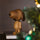 Boyhood Peanuts x Snoopy Smoked Oak - Large
