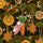 Felt So Good Christmas Snack for Rudolph Hanging Decoration