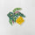 Haco Box of Stickers - Green Market