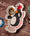 Feathers McGraw