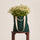 HAY Everyday Tote Bag in dark green