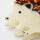 Hedgehog Hair Claw Tortoiseshell