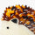 Hedgehog Hair Claw Tortoiseshell