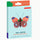 Studio Roof 3D Delias Butterfly packaging