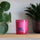 Big Love Colour Candle - Tutti Frutti lifestyle