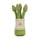 Jellycat Amuseables Asparagus