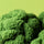 Jellycat Amuseables Broccoli