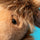 Jellycat Birchly Moose