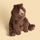 Jellycat Bizzlestomp Bear