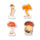 Kikkerland Magnetic Mushrooms Bookmarks