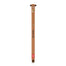 Legami Erasable Teddy Bear Pen (Red)