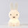Mr Maria Bundle of Light - Miffy