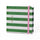 Green Stripes Elasticated Mini Jotter