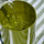 MAEGEN Atina Tumbler - Olive & White