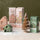 Paddywax Ceramic Green Cottage & Incense Cones