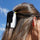 Penguin Hair Claw