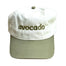 Silver Spider Dad Cap - Avocado