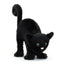 Spookipaws Cat