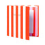 Red Stripe Sticky Notes & Notepad Set