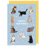 Happy Birthday Cats Card