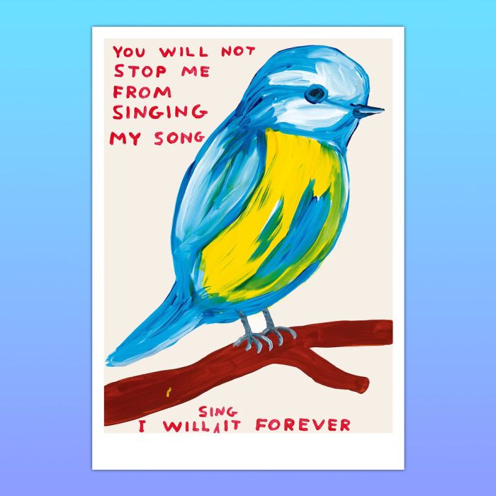 David Shrigley Songbird A5 Postcard Print