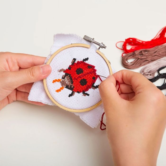  Kikkerland Mini Cross Stitch Kit - Ladybug