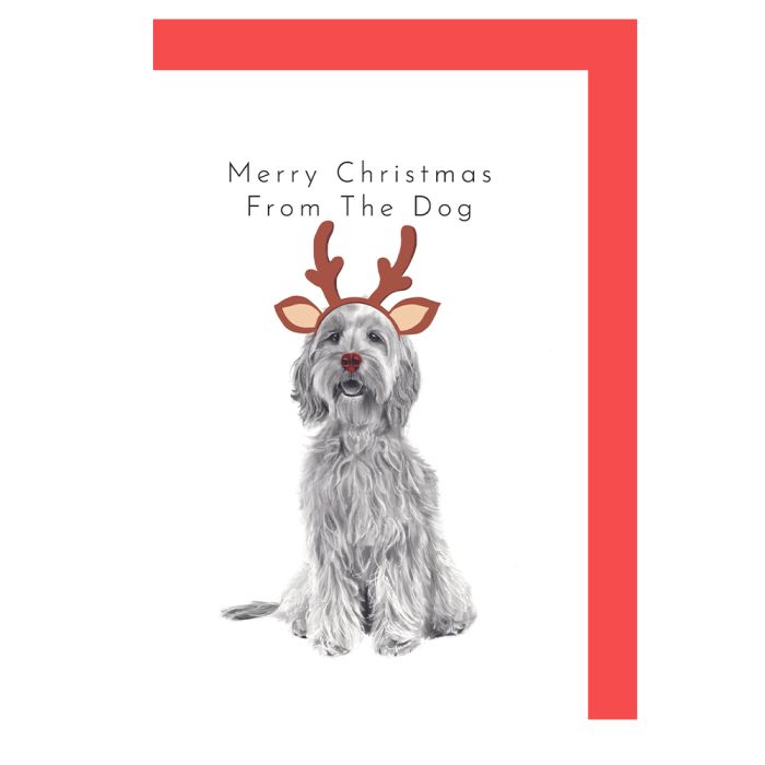 Merry Christmas From The Dog Card
