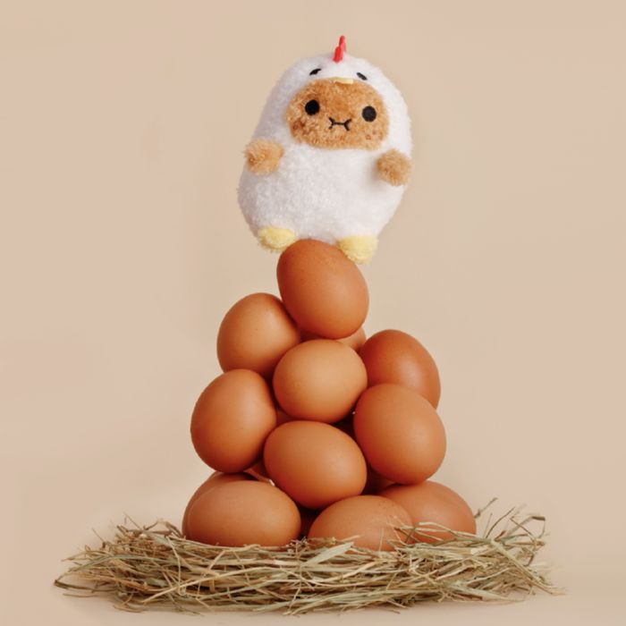 Noodoll Mini Ricespud - Chicken
