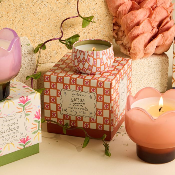 Paddywax Tulip Glass Candle - Cactus Flower