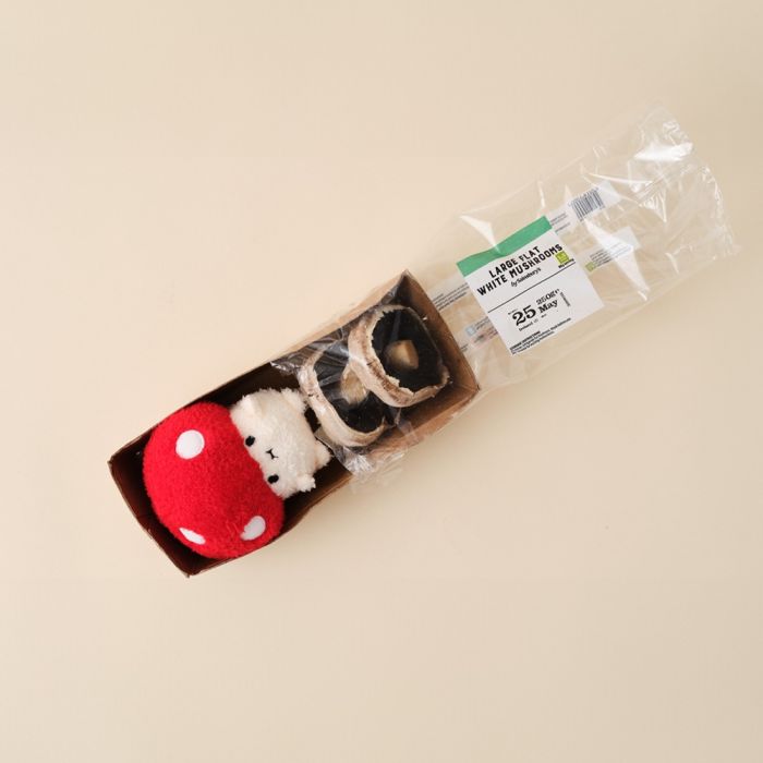 Noodoll Mini Sitting Ricemogu 